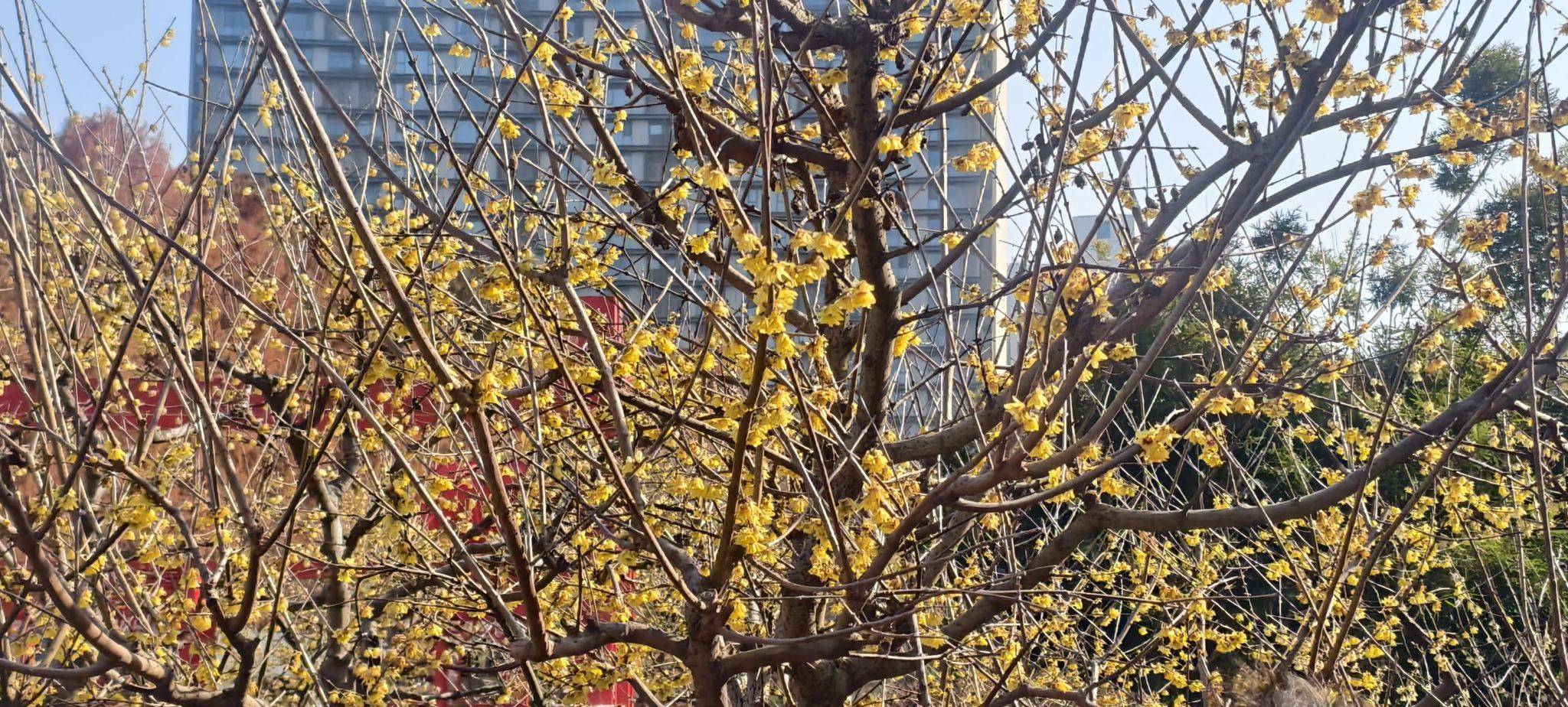 热爱漫无边际，生活自有分寸