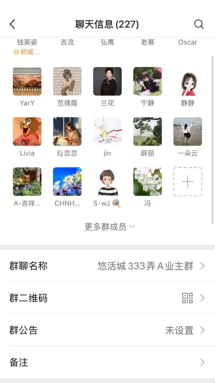 life_photo_2