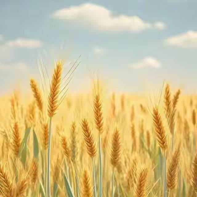 JYH