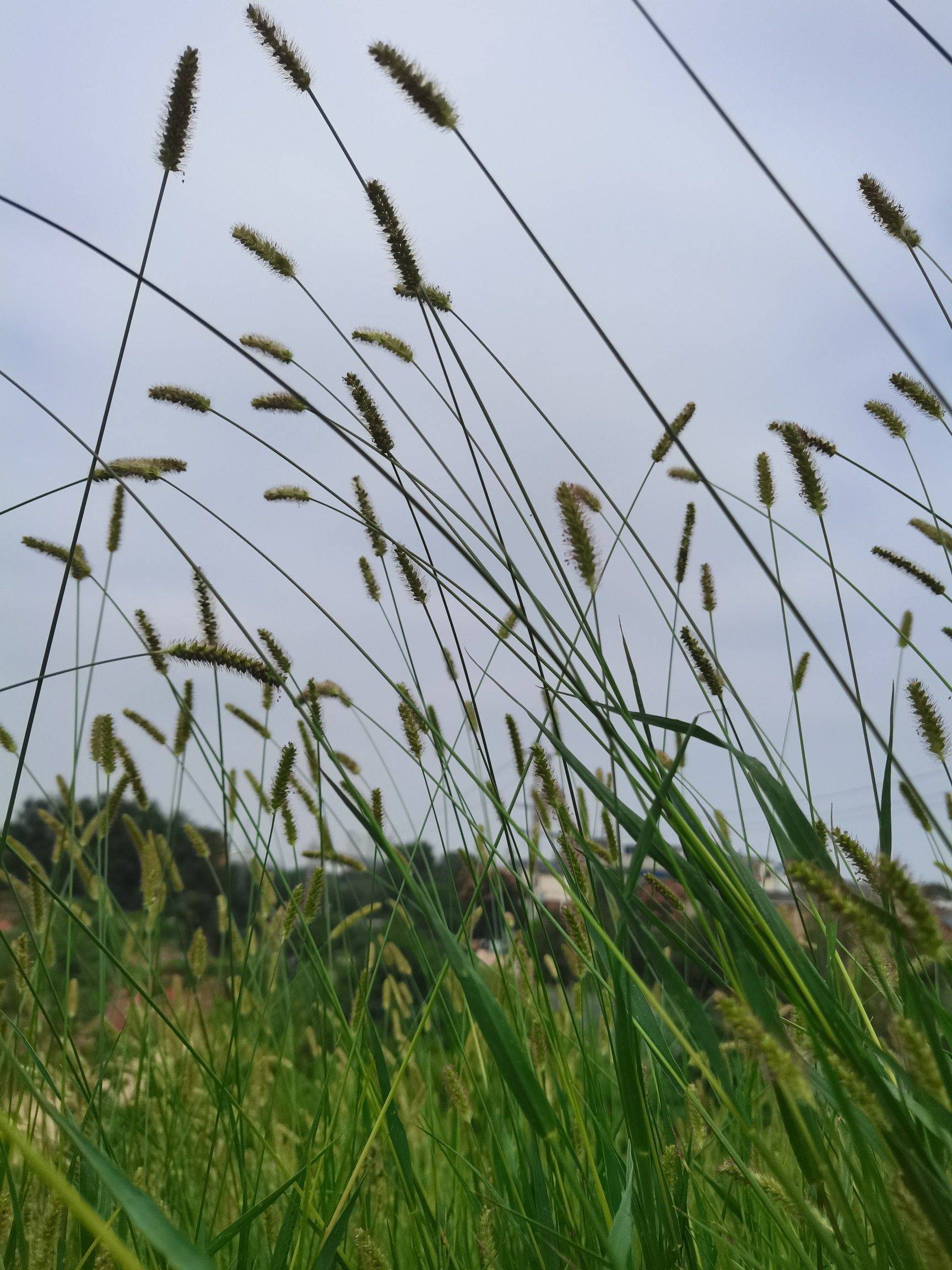 life_photo_0