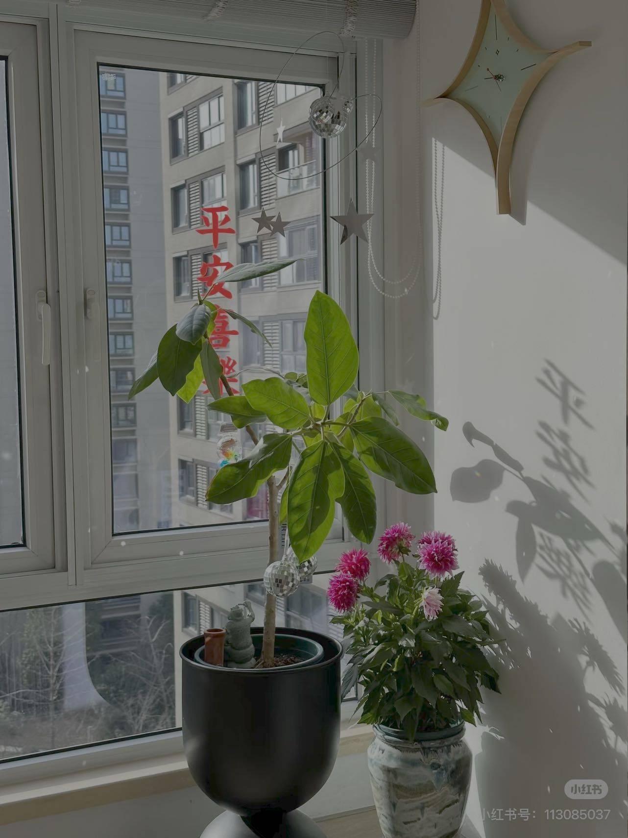 丁丁