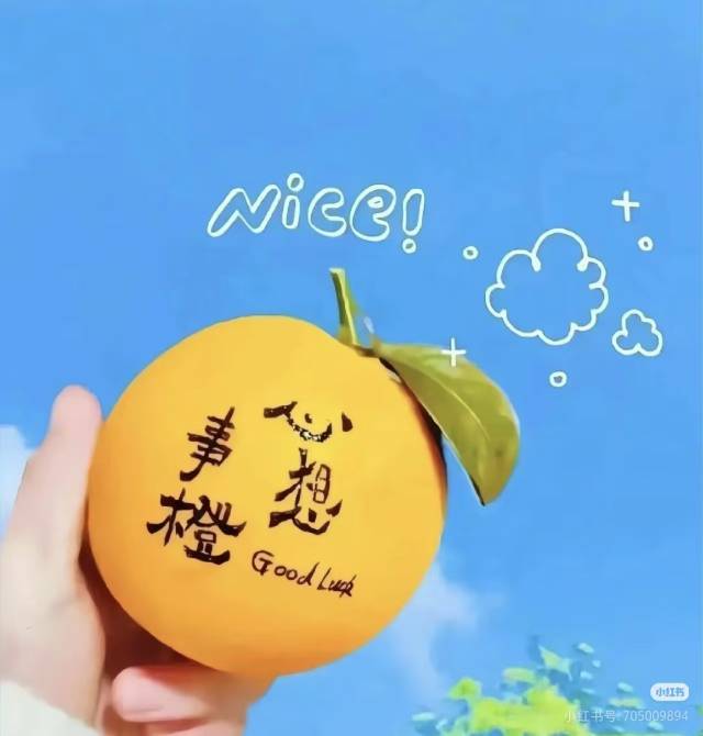 万亩青苗🌱