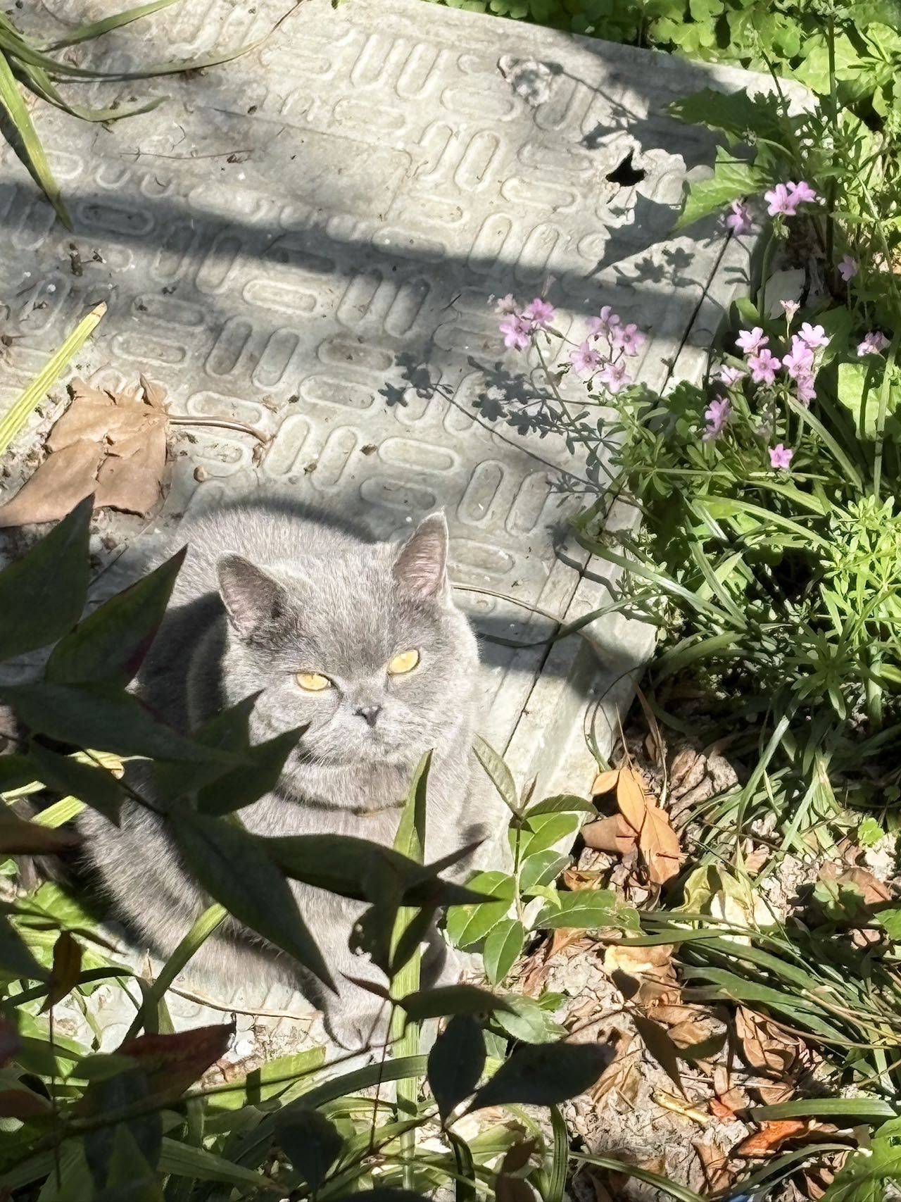 伢伢乐营养牙膏