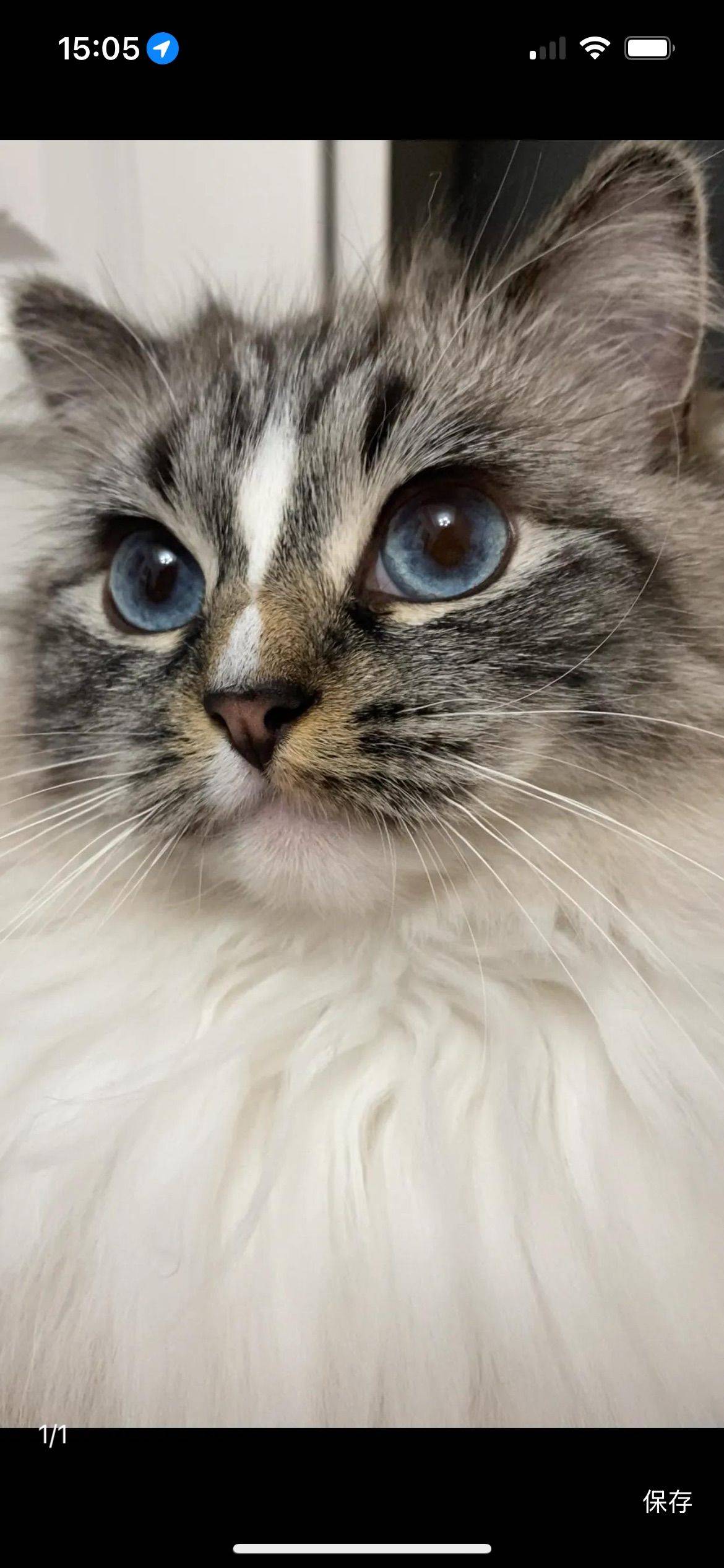 欣欣然乘物以游心