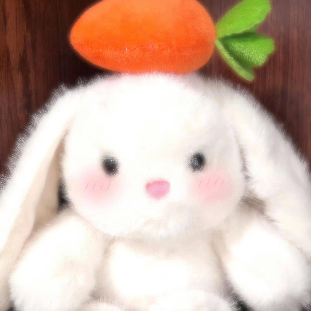 流芳百世的美女