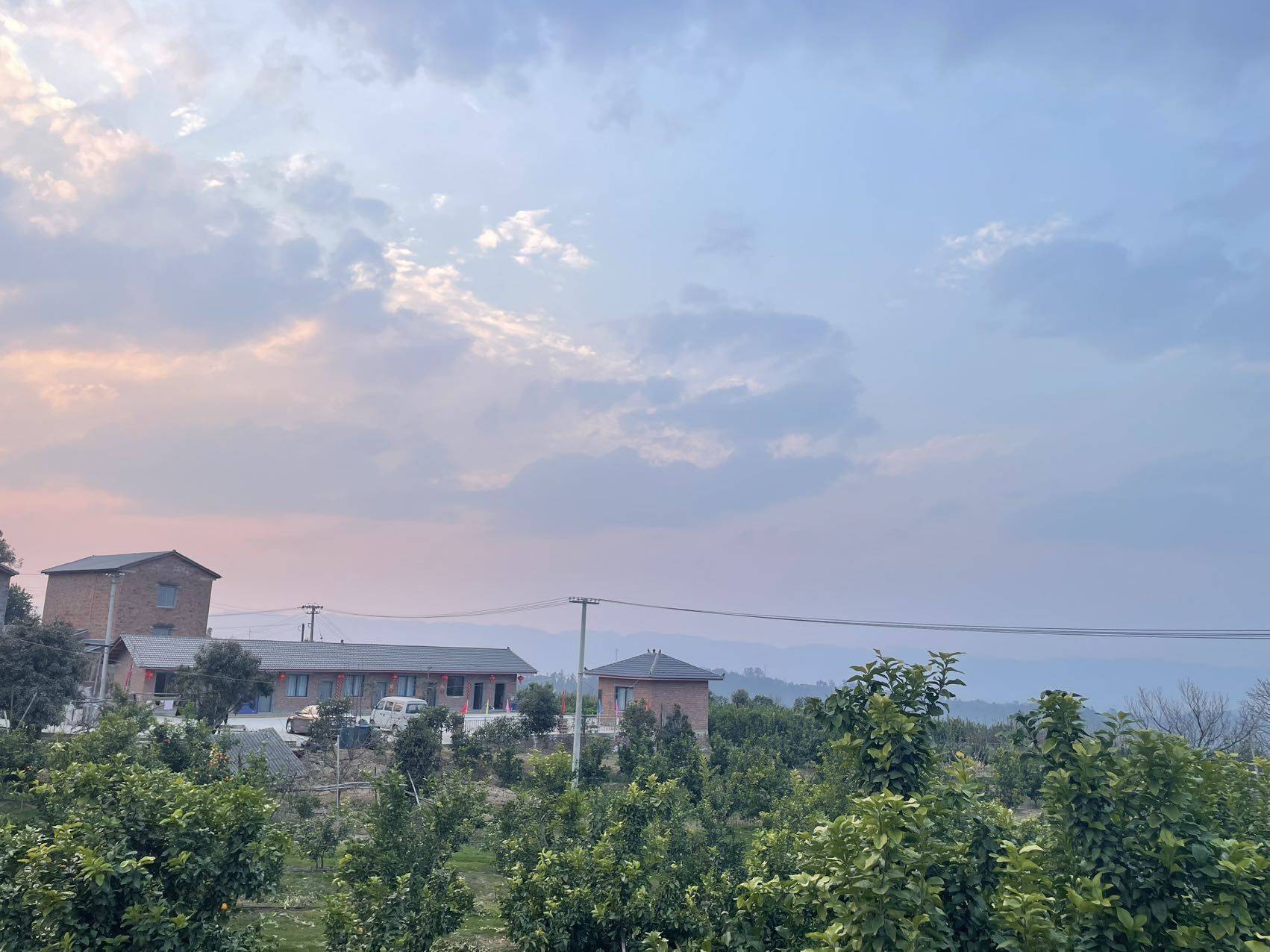 沙坪坝佩琪宠物诊所