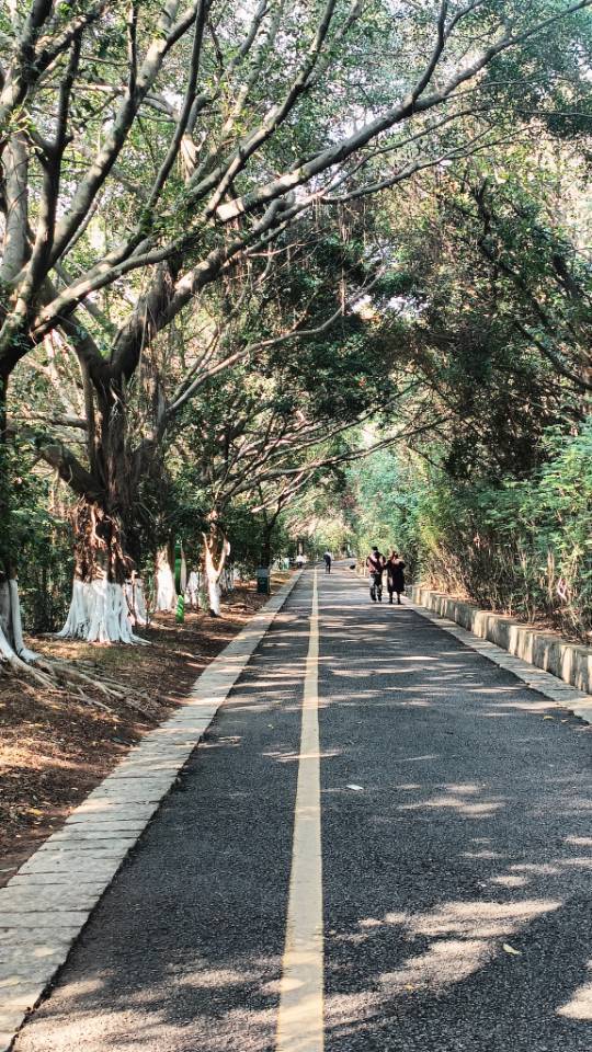 都不许给我叫叫叫