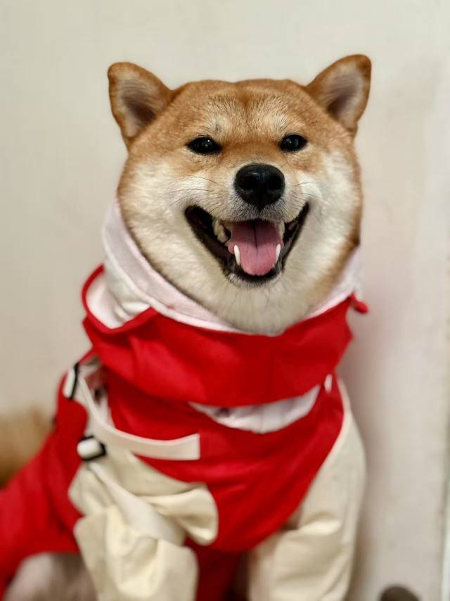 面条杀手杰克