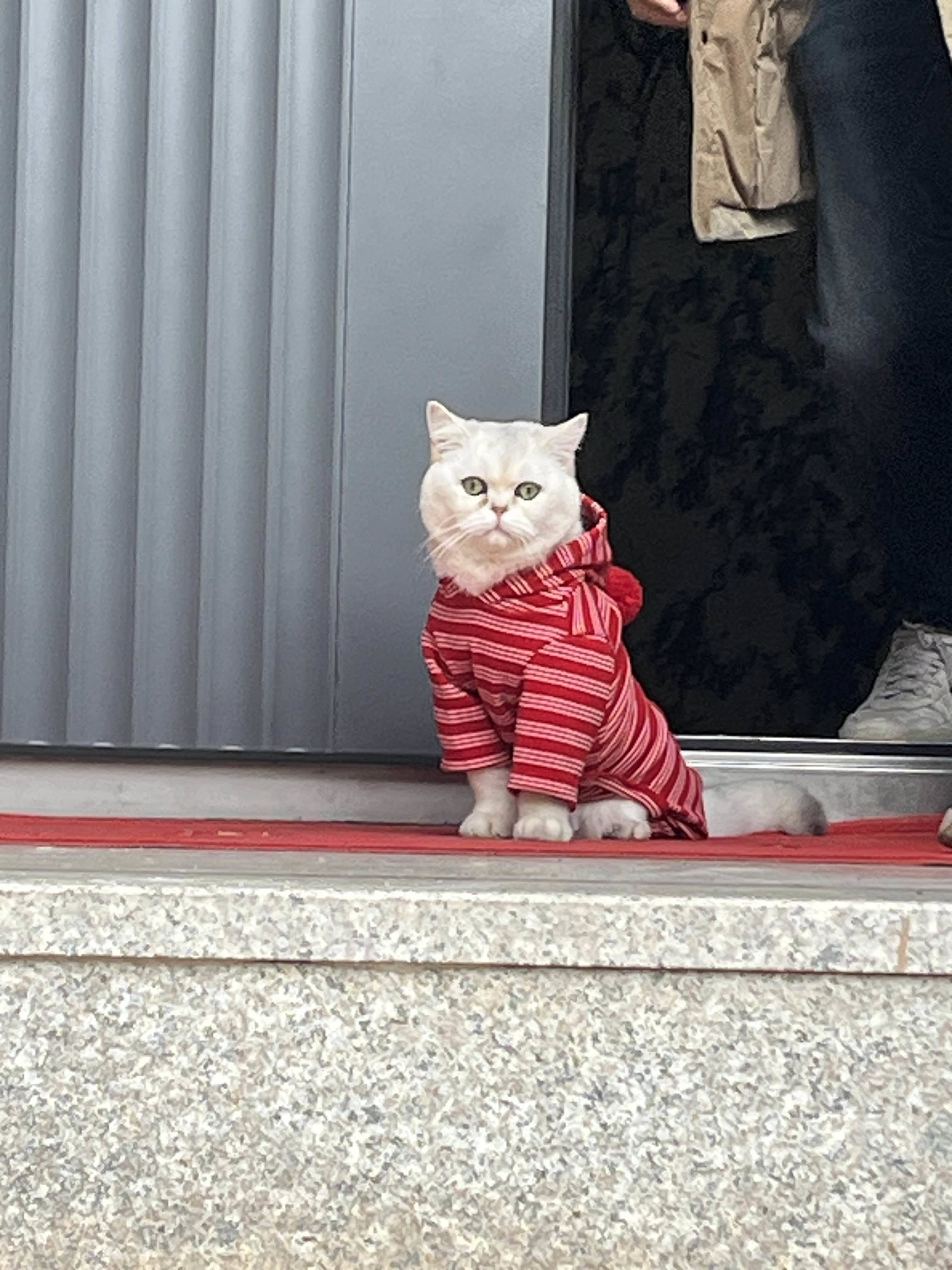 青
