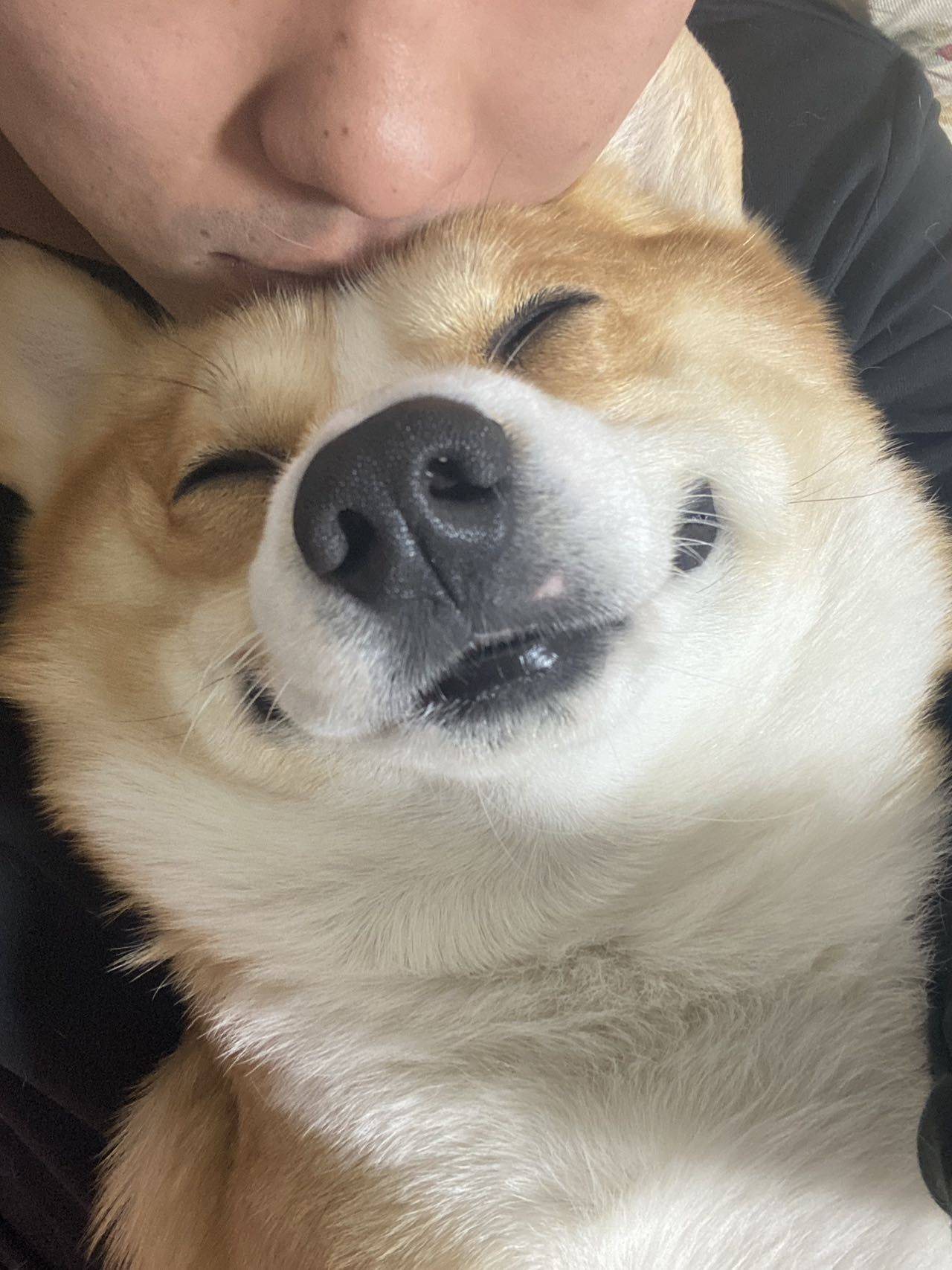 钢巴