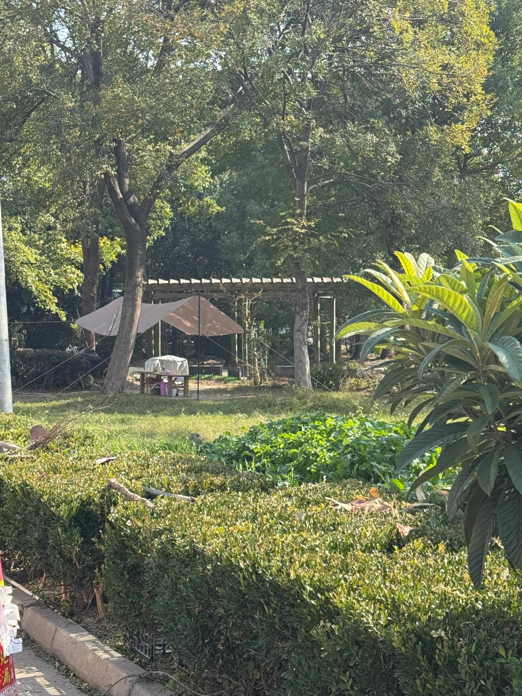 吴江城南花苑房东直租