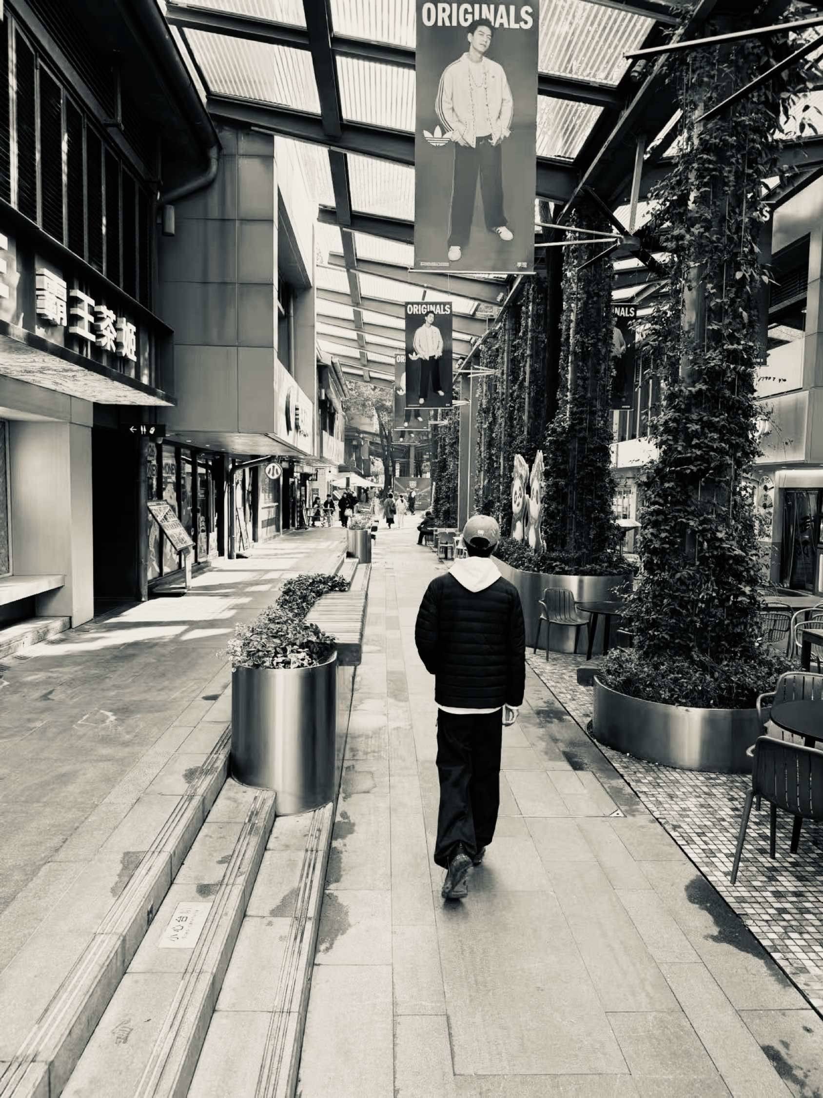 减不下肥的格雷斯