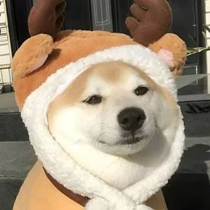 九條