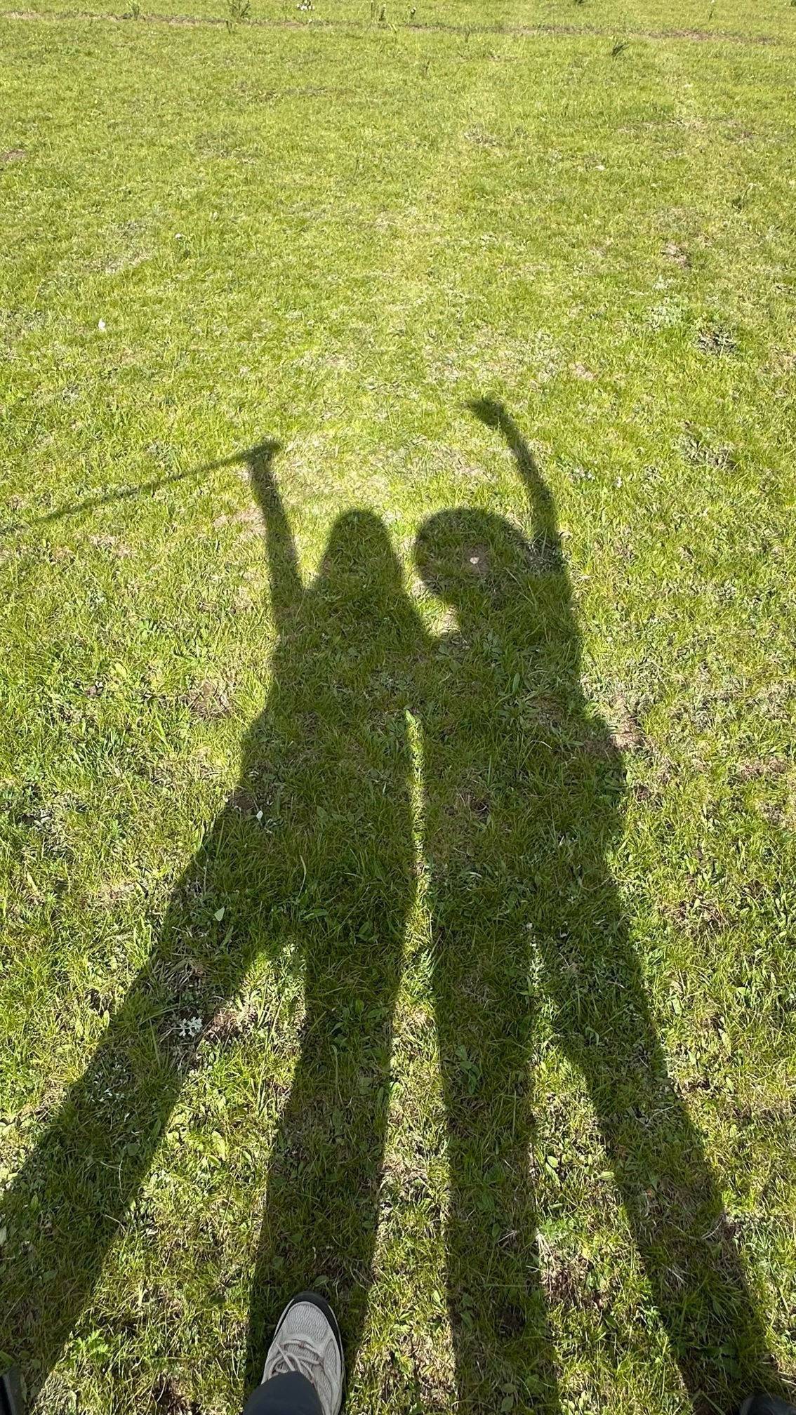 life_photo_1