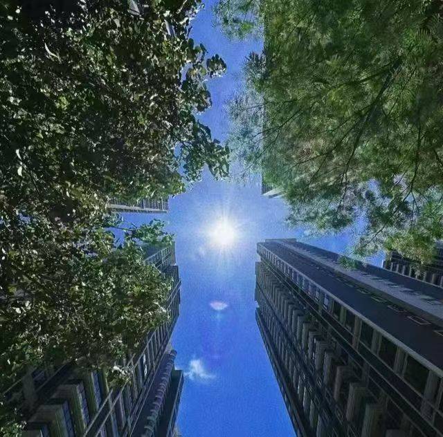 微风不燥，阳光正好