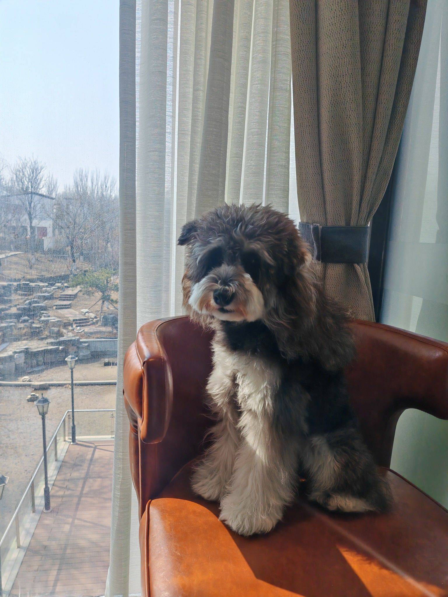 没有销声匿迹，我在热爱生活