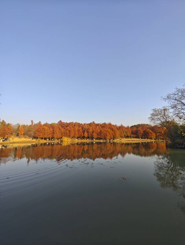 木子李