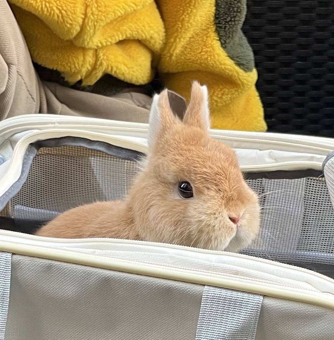 人生就是一场体验，要尽兴