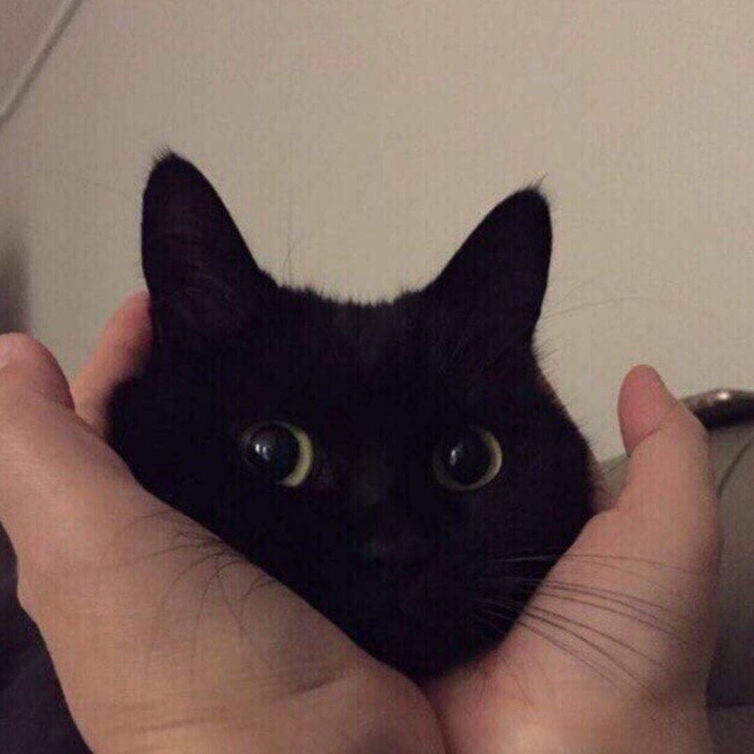lln