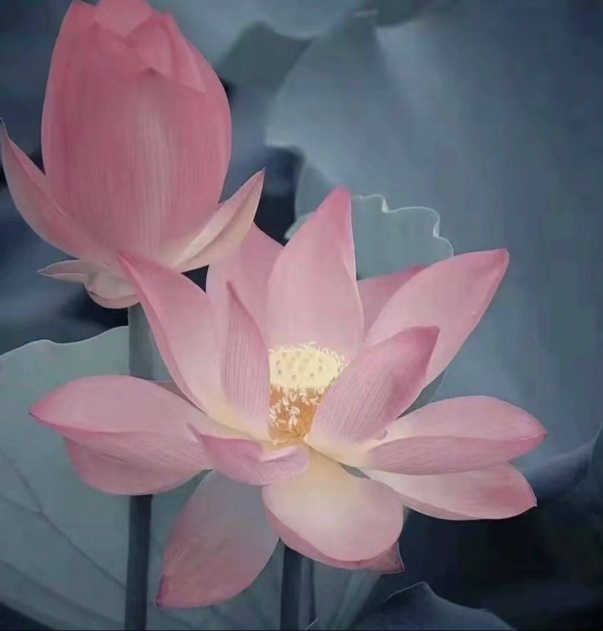 房子已签约，暂不带看