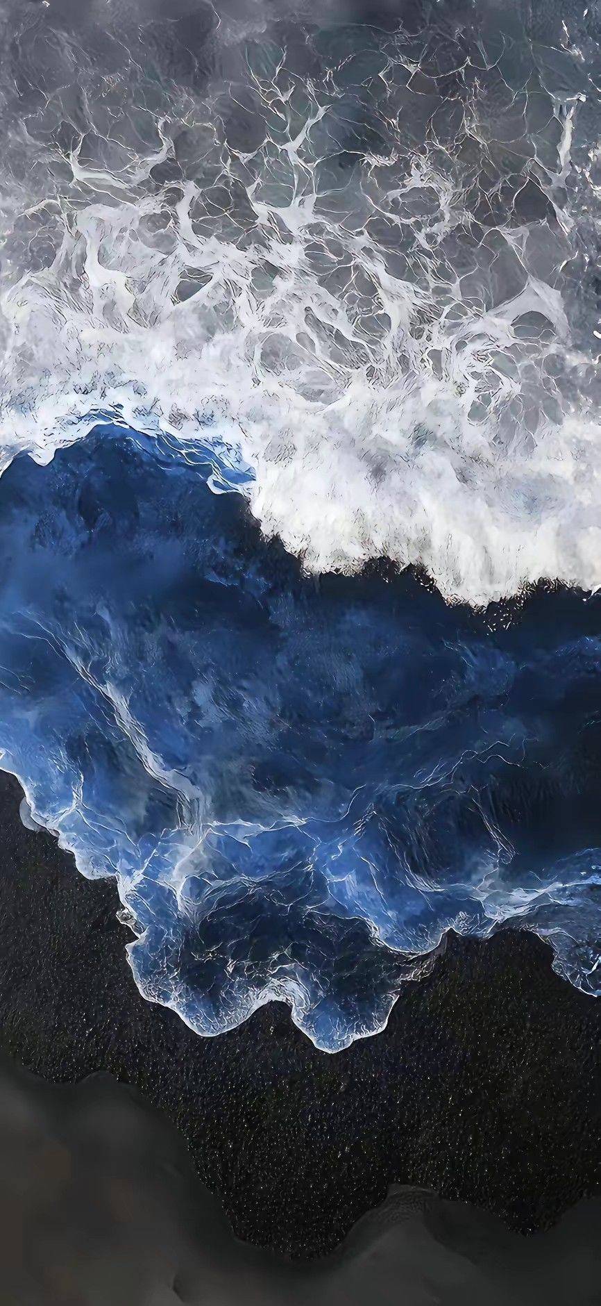 森林