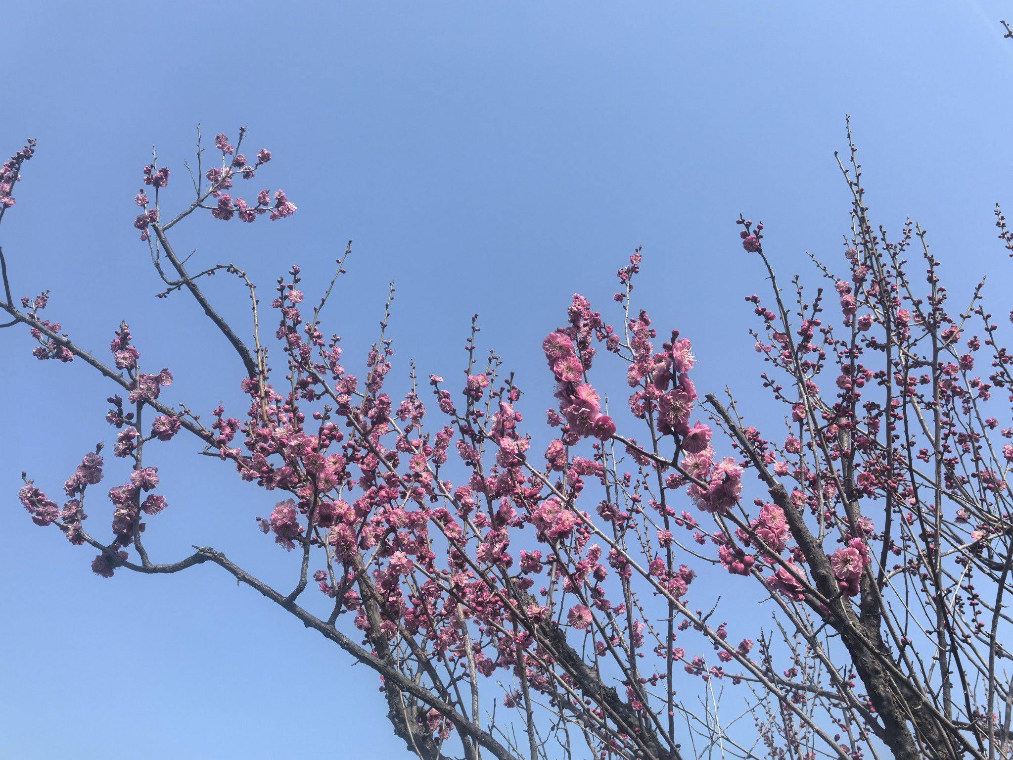 诚信为本 非诚勿扰