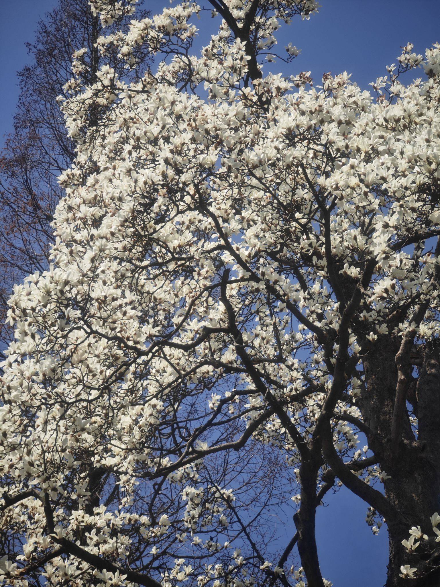 life_photo_0