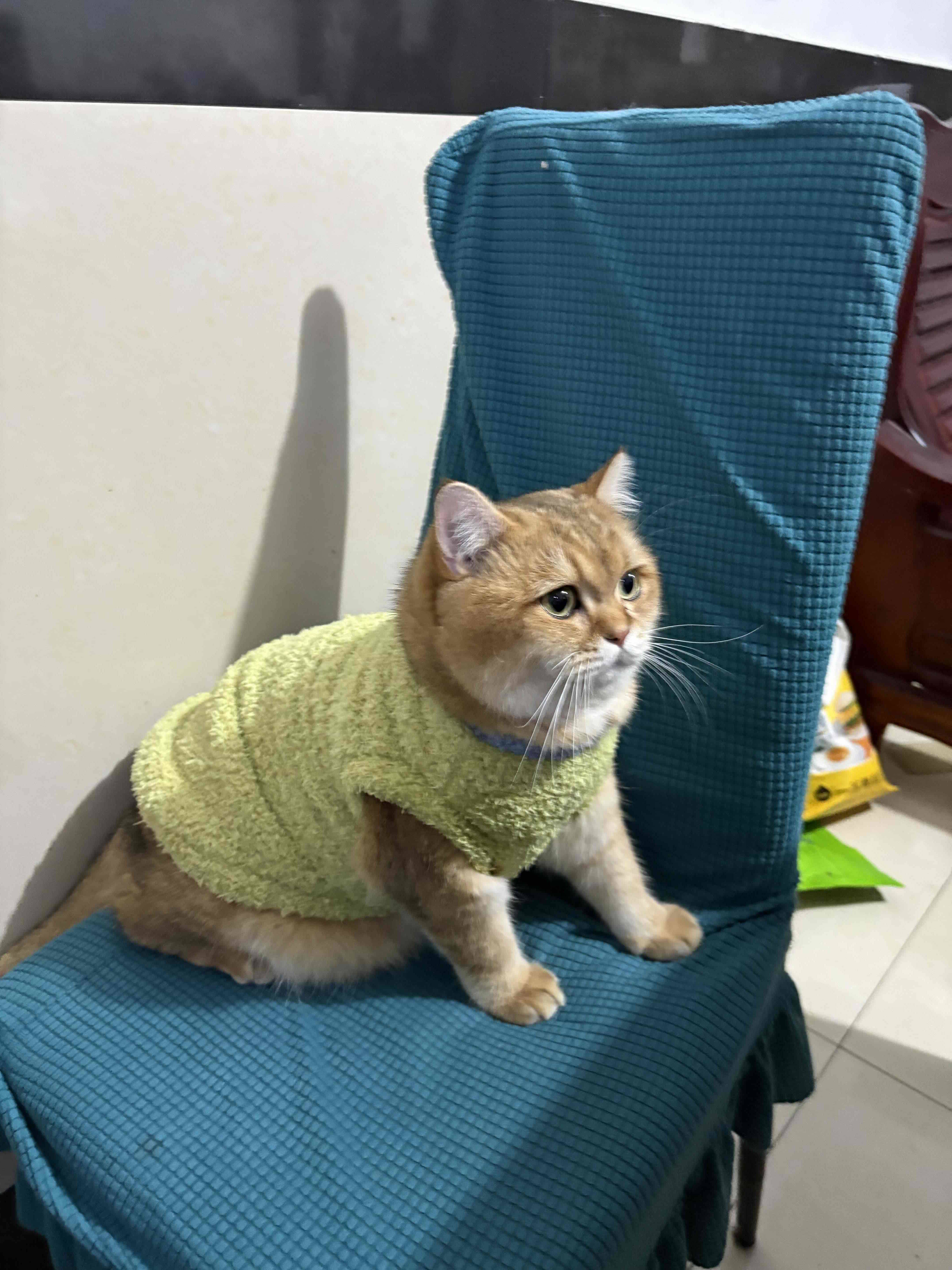欣欣向荣