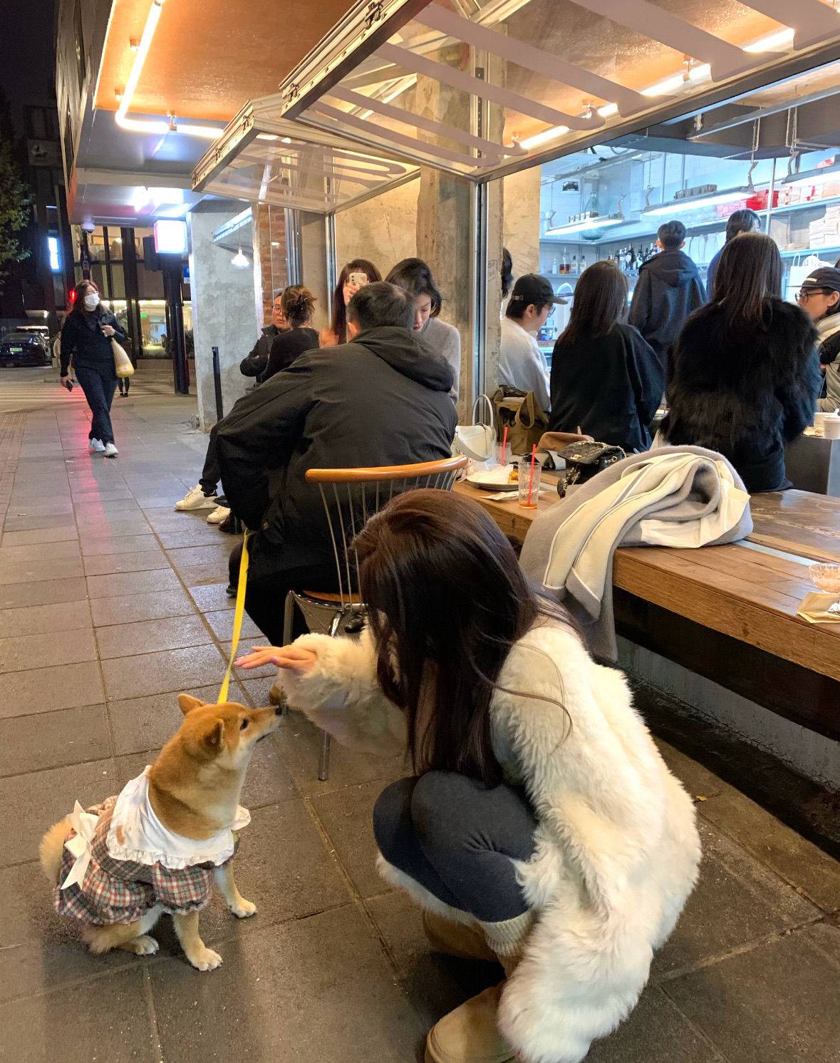 上海长宁普陀租房