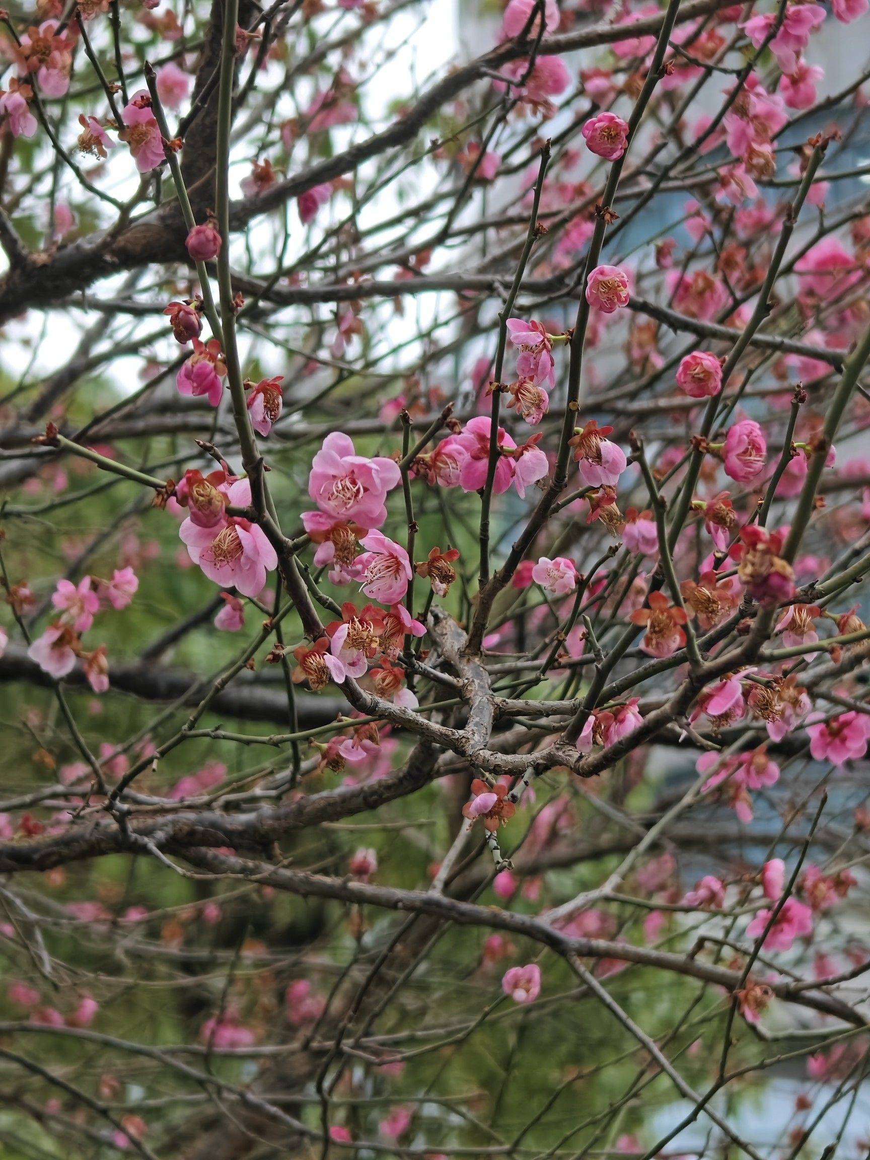 文泽路地铁口房东直租