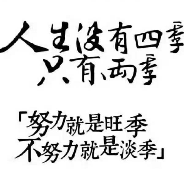 发发发