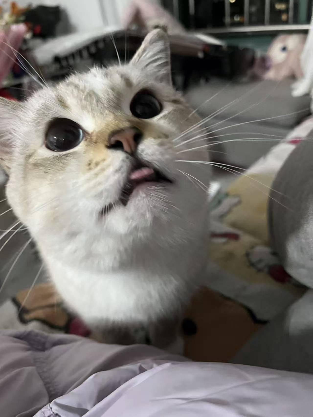 见面的方式有很多种