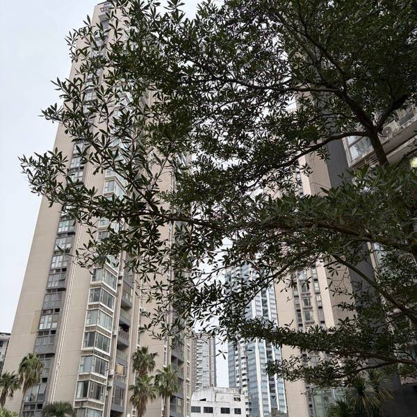 每一间两房2800转租