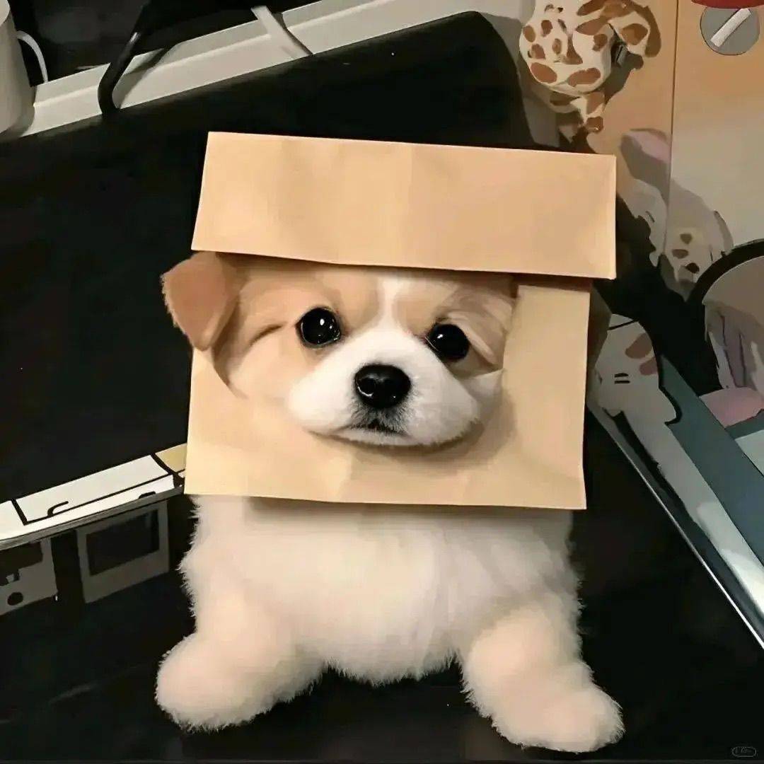 出租自己家的房子