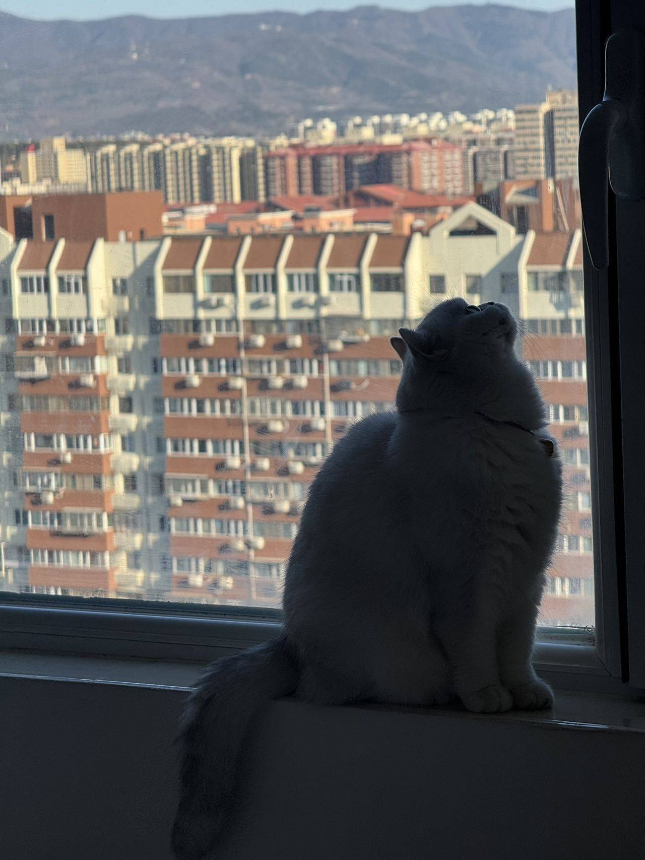 静