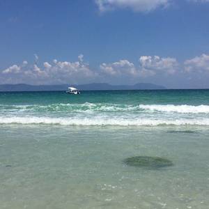 Hibubble(房东直租)