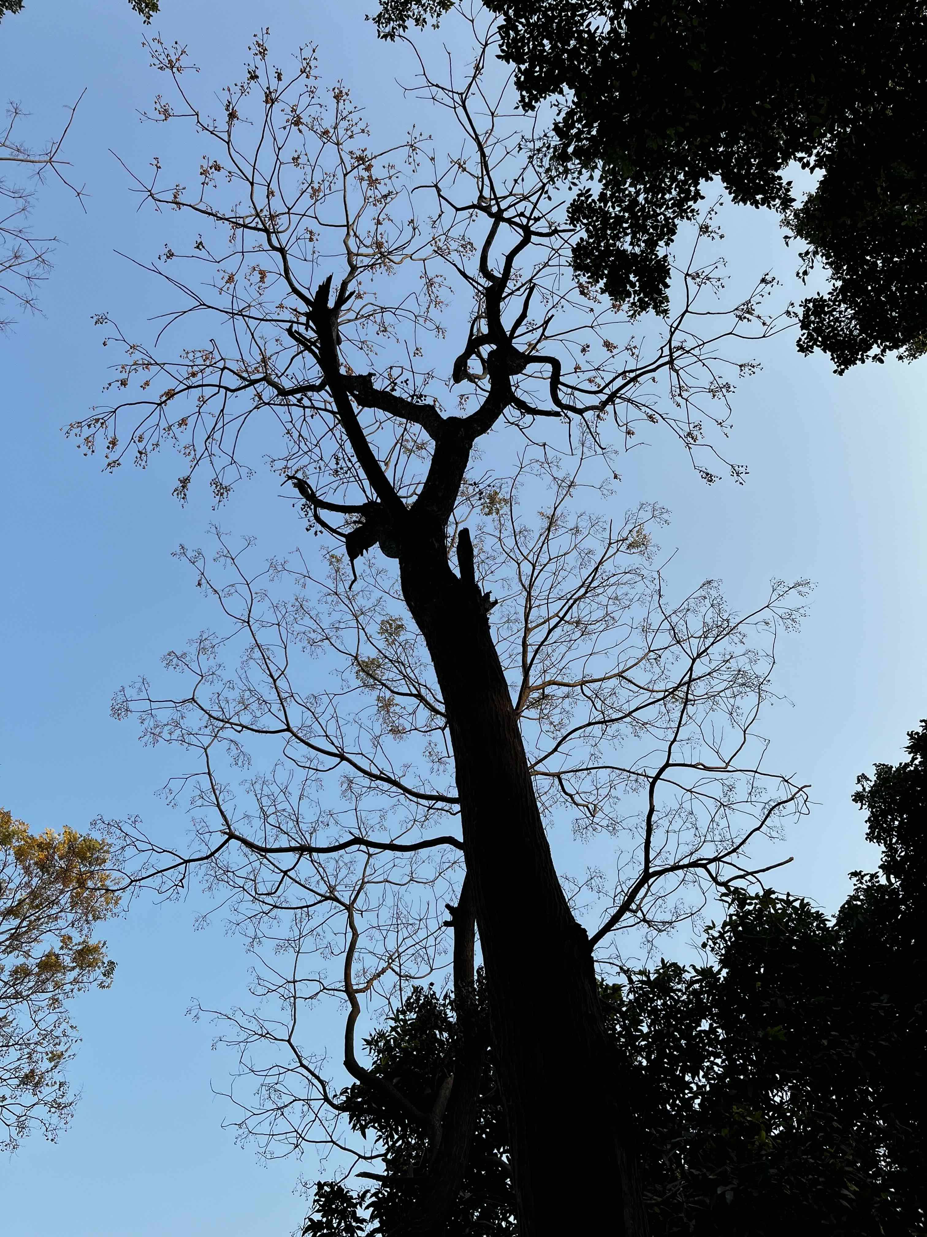把镜头对准爱的所有
