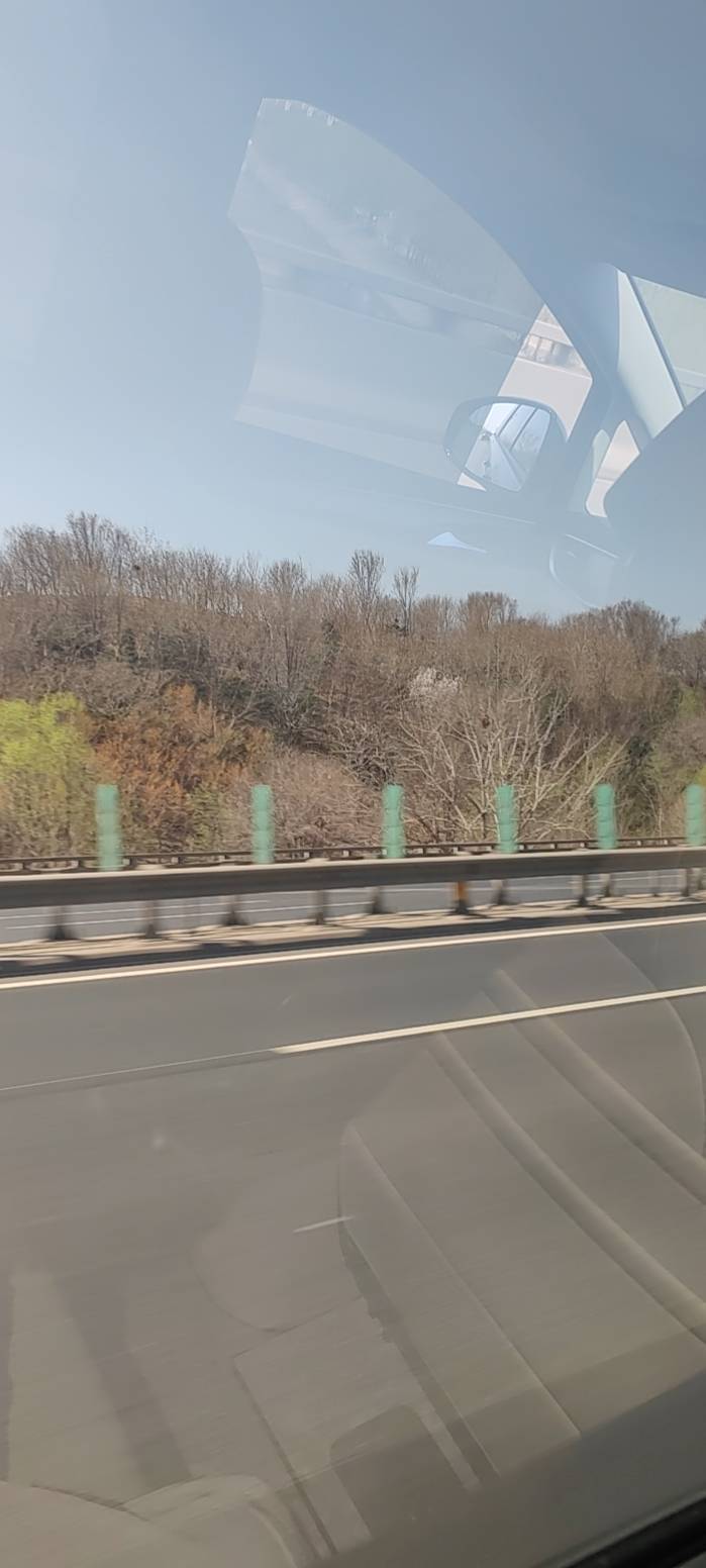 兔宝