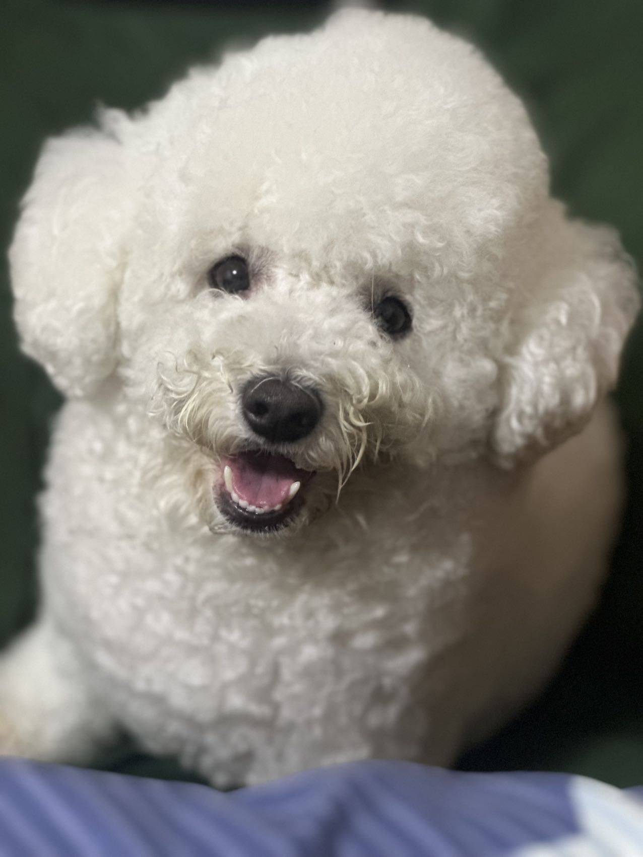 lu