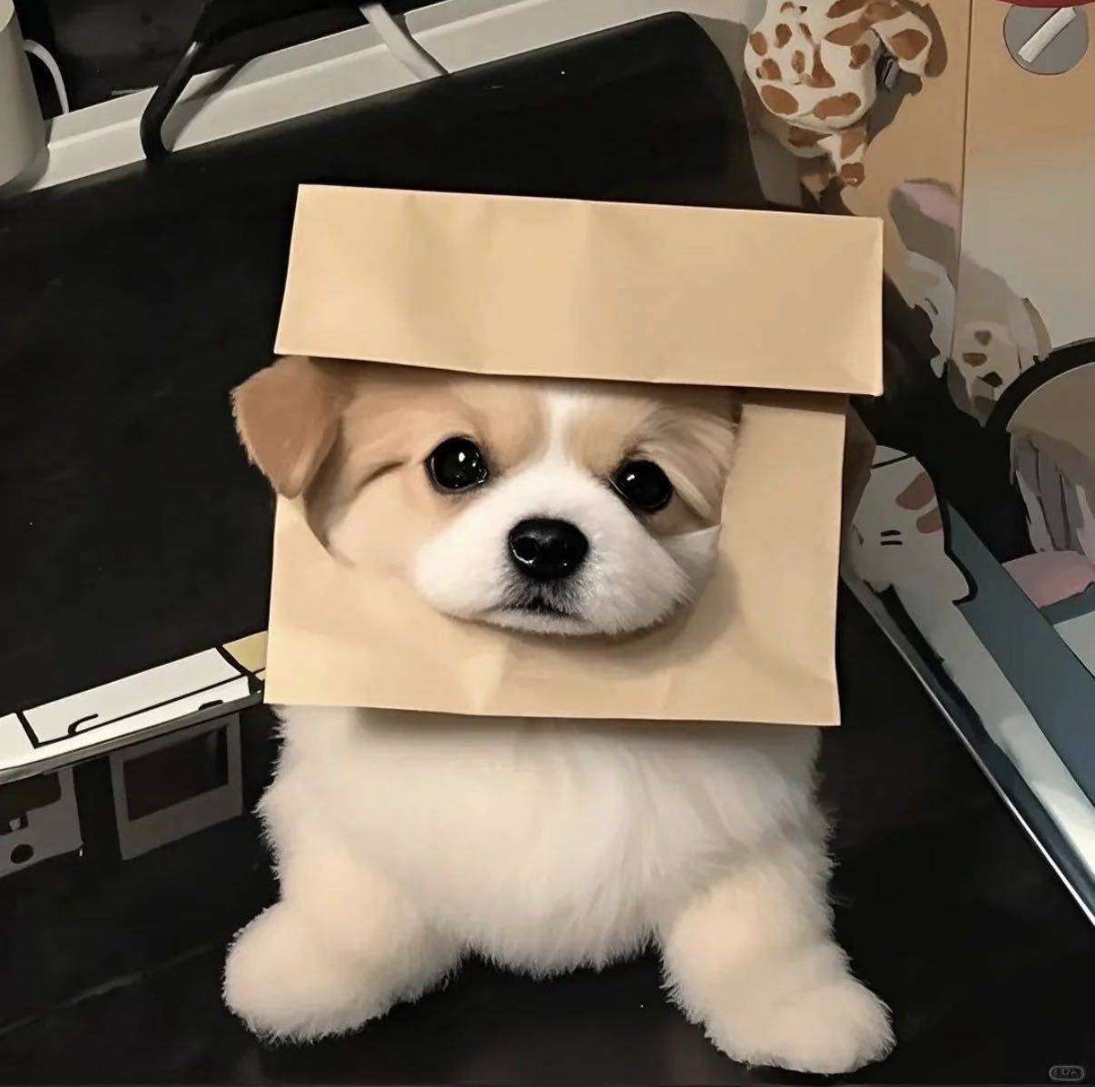 许愿上上签²⁰²⁶