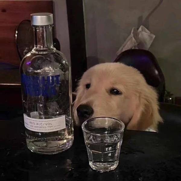 加油