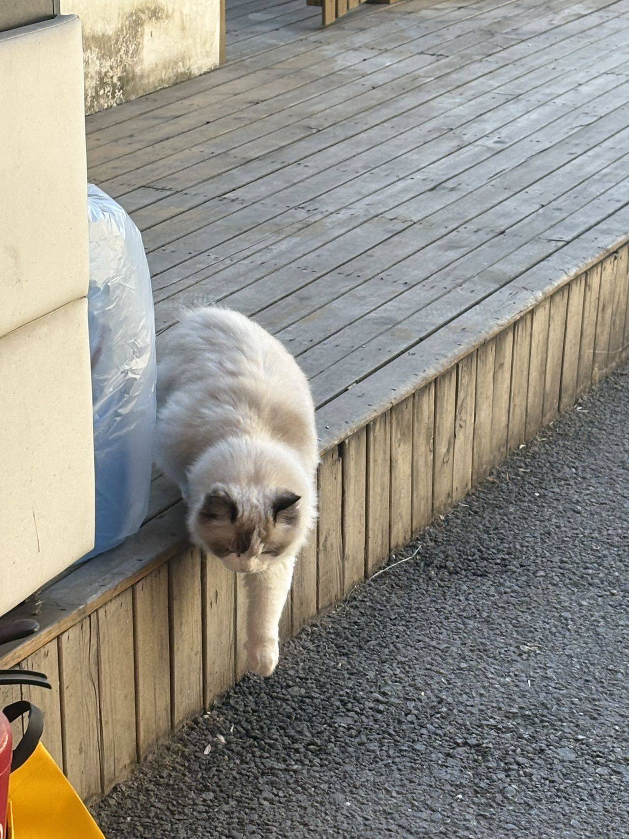 。