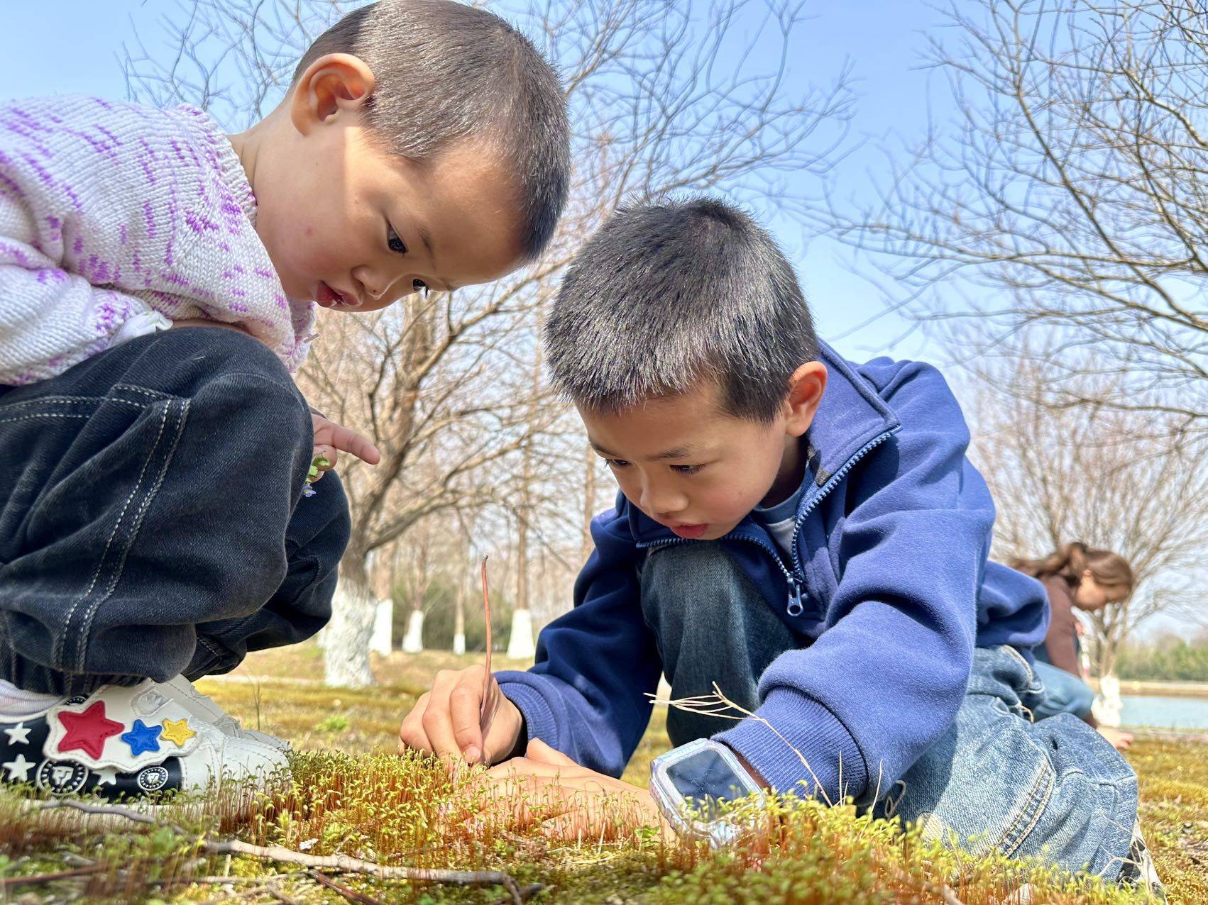 泽泽的弟弟叫霖霖