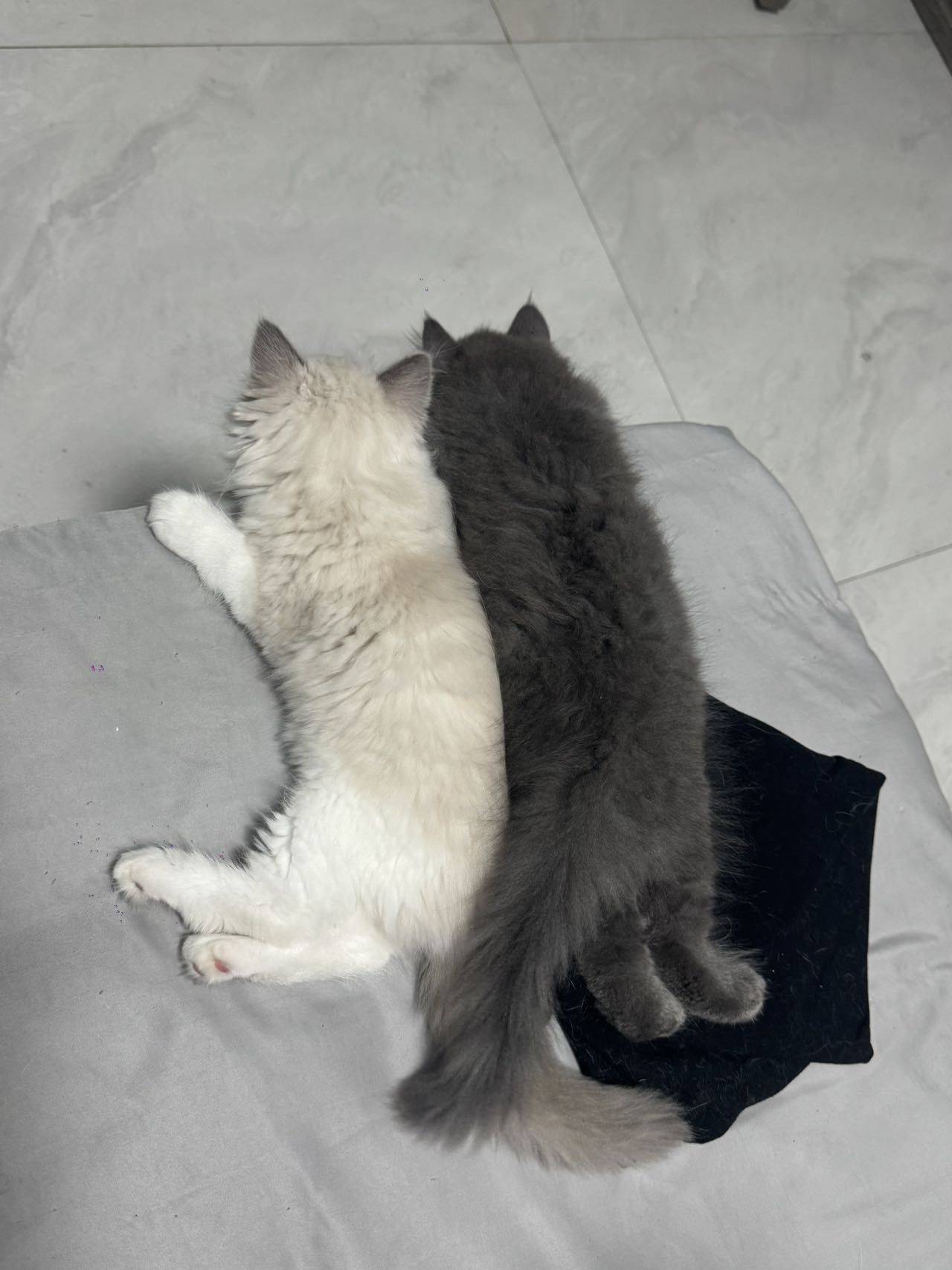 下雨天-
