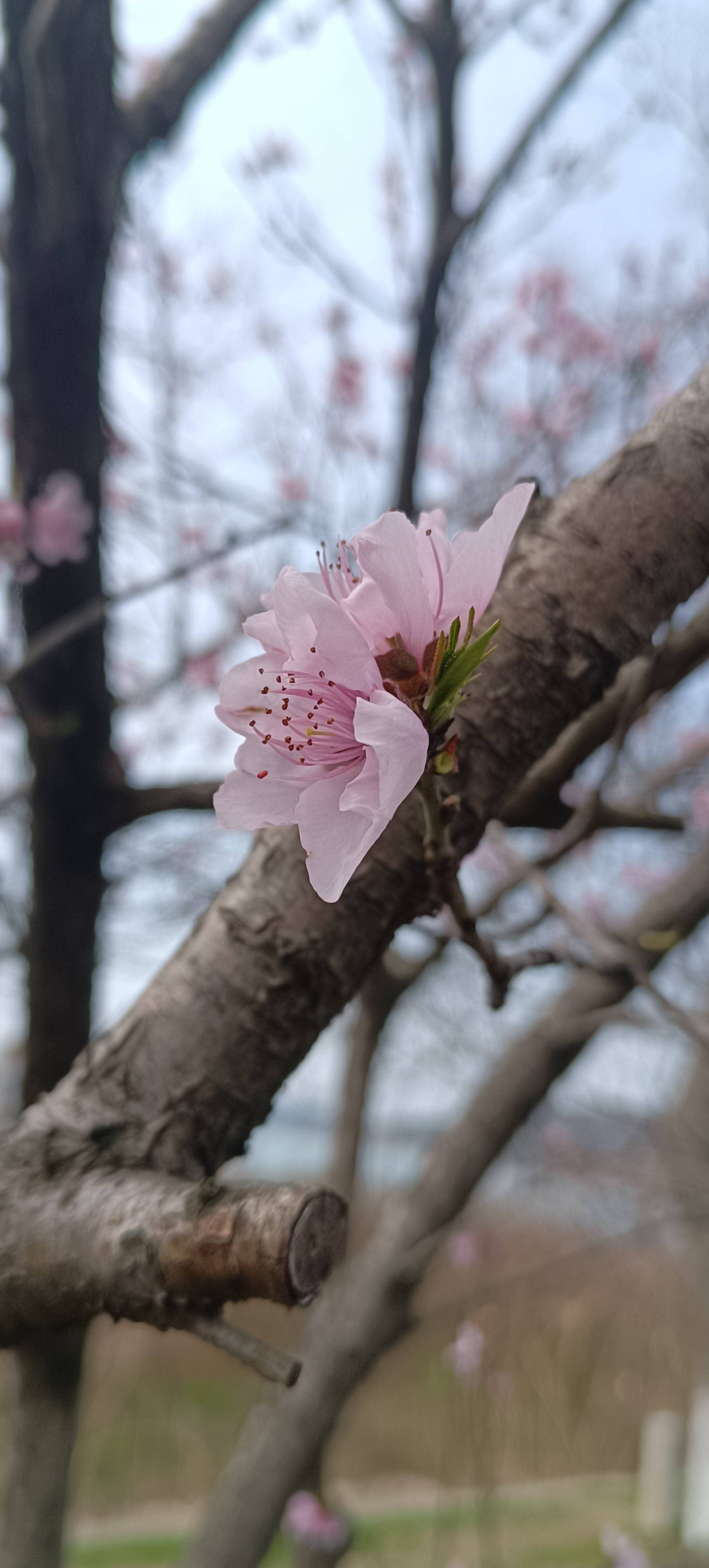 湖水