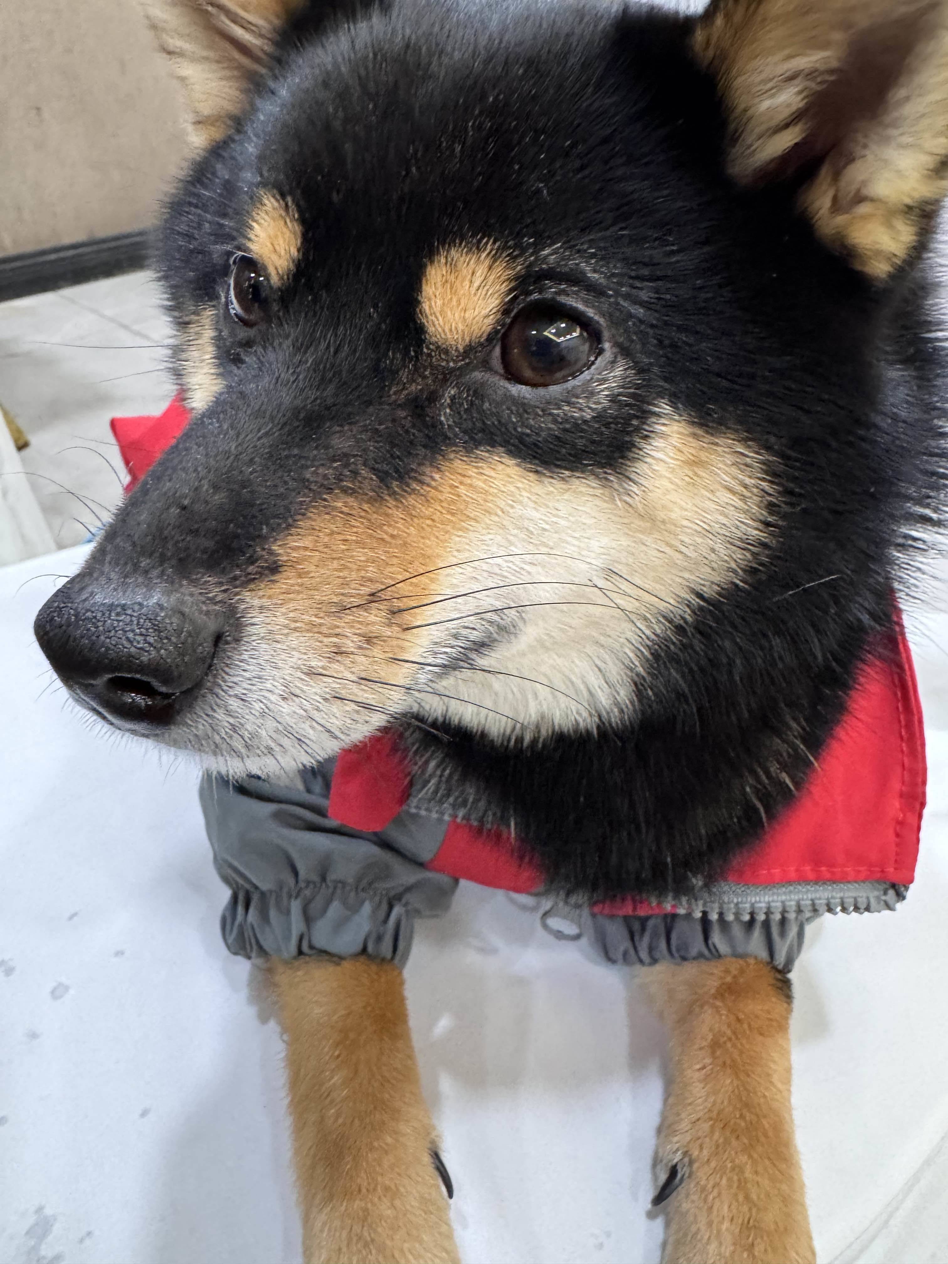 观山湖玖境国际