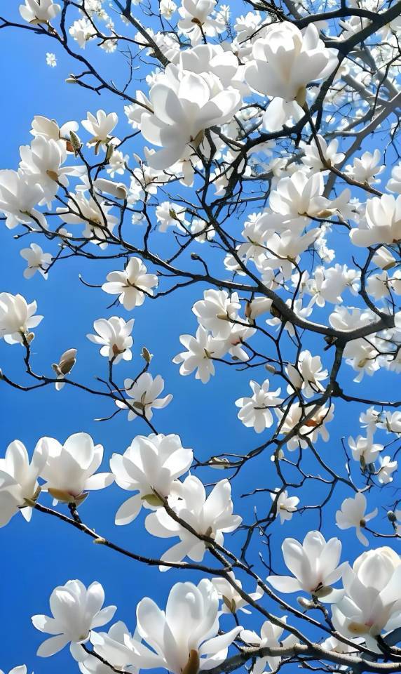 热爱漫无边际，生活自有分寸