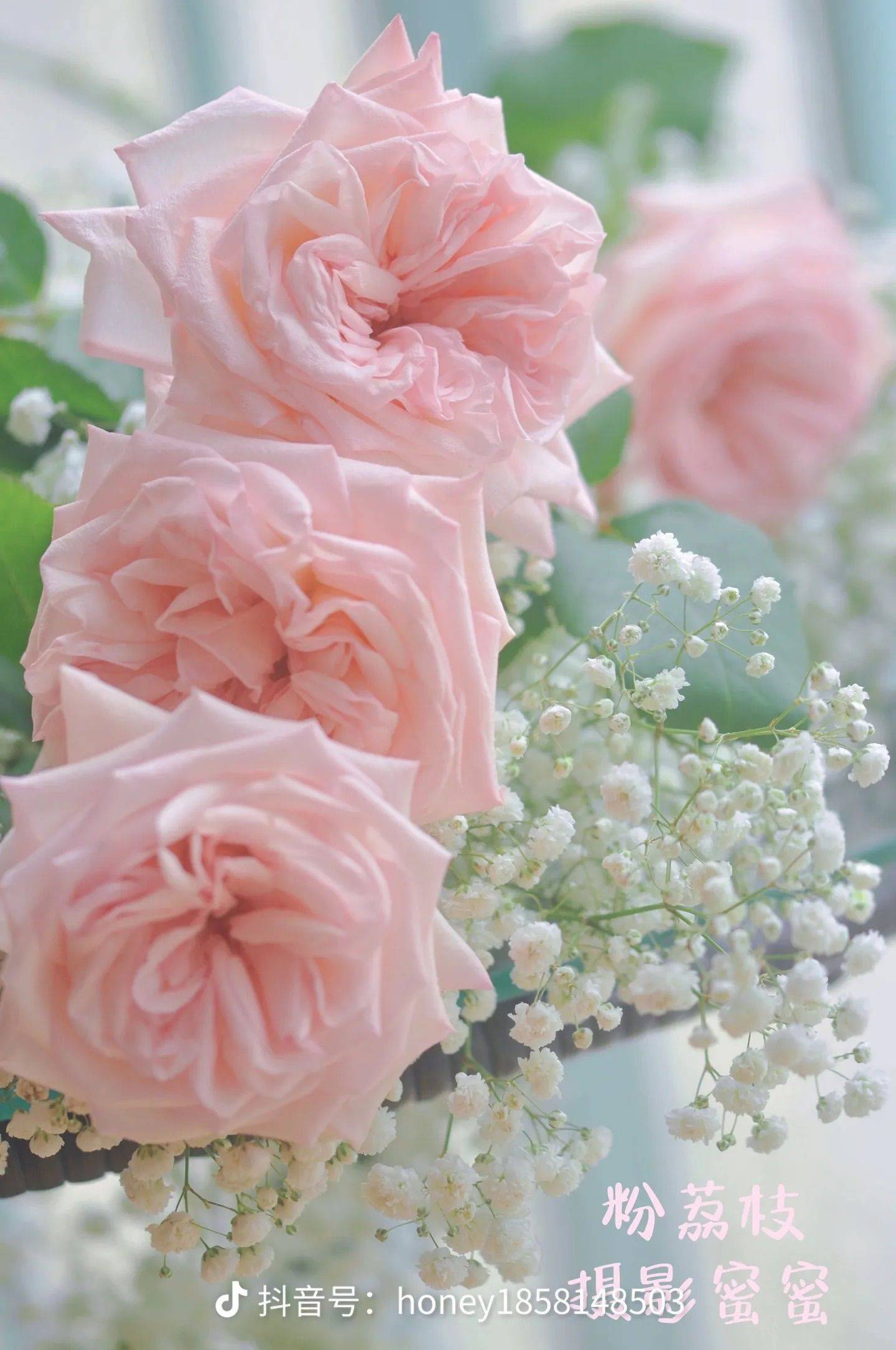 太子殿租房大叔