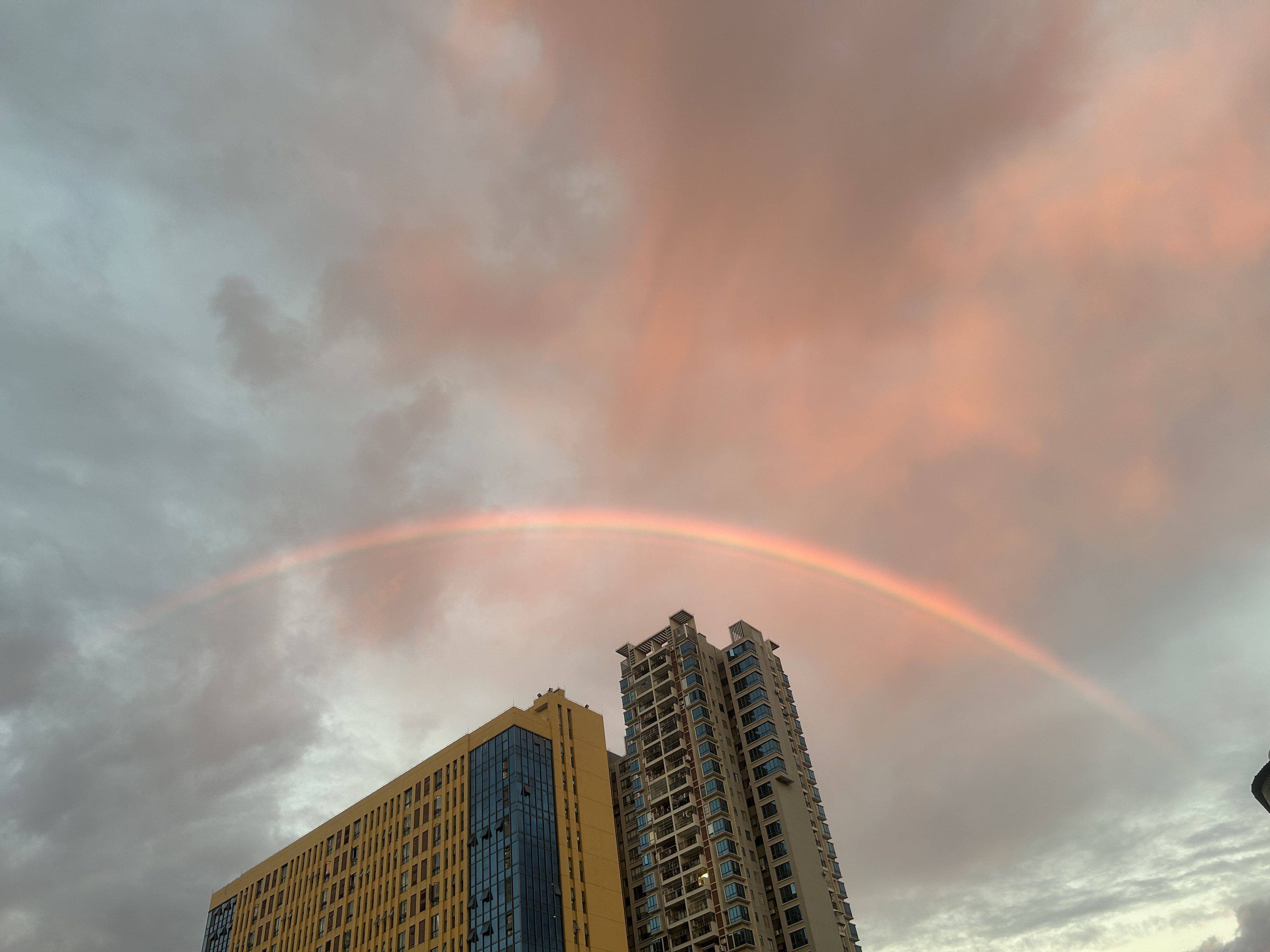 露露