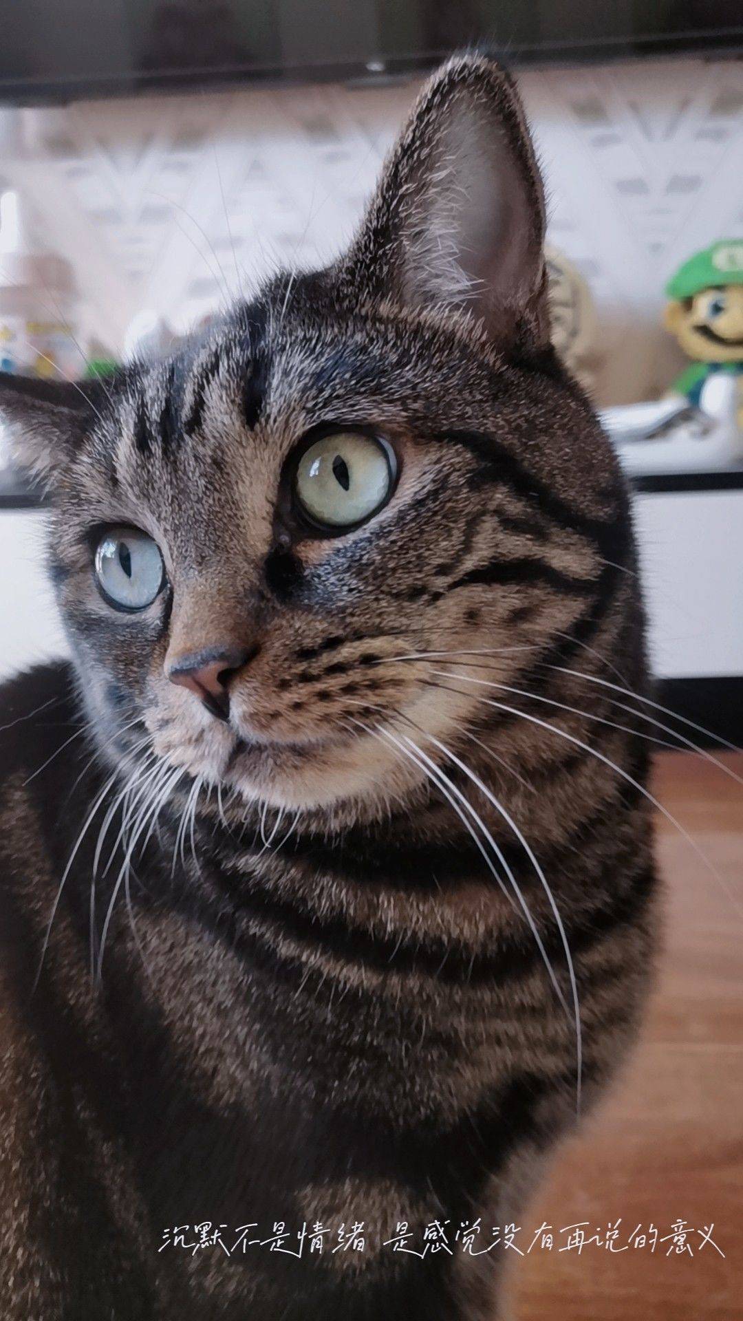 望京西房东直租